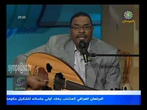 عامر الجوهري