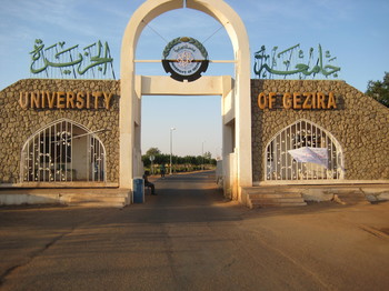 جامعة الجزيرة