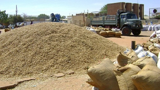 سمسم سوداني