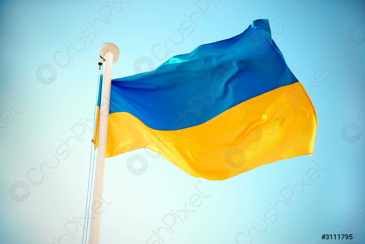 ukrainian flag 3111795