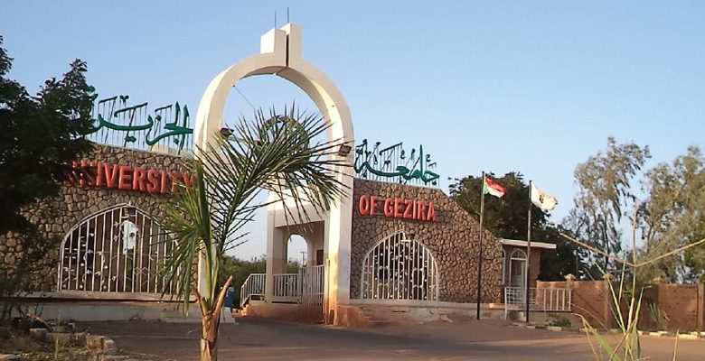 جامعة الجزيرة