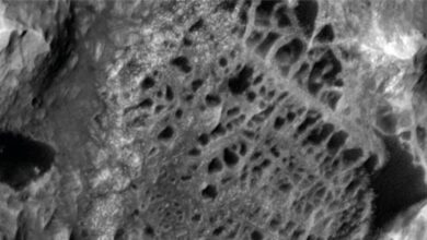 نسيج حجري في المريخ