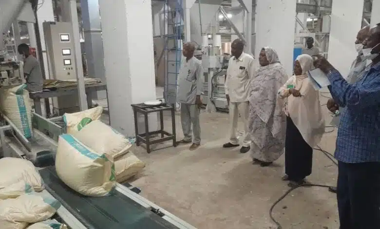 مصانع روتانا