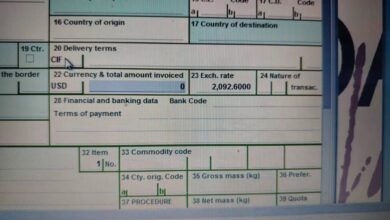 الدولار الجمركي