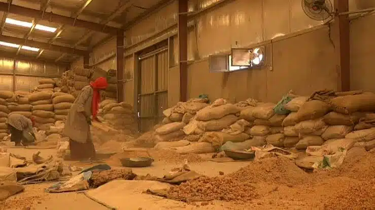 مخازن الصمغ العربي