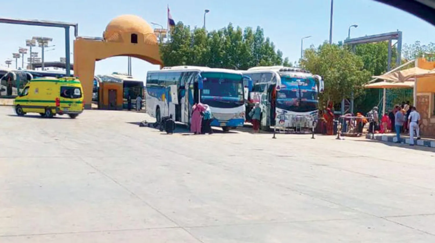 باصات مصرية