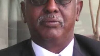 بشير عبد الرحمن بشير