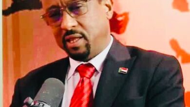 وجه وزير الثقافة والإعلام والآثار والسياحة السوداني، الأستاذ خالد الإعيسر، انتقادات لاذعة لممارسات بعض القوى الإقليمية التي تقوض الاستقرار القاري، محذراً من مغبة توظيف الحركات المتمردة لخدمة أجندات خارجية تنهب موارد القارة السمراء