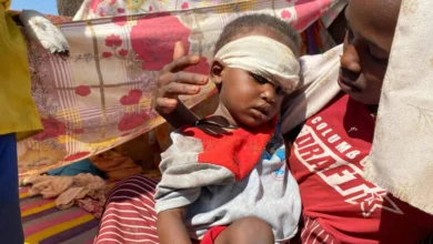 أعرب أعضاء مجلس الأمن الدولي، في بيان رسمي صدر يوم الأربعاء، عن "قلقهم البالغ" إزاء استمرار تصاعد العنف في مختلف أنحاء السودان، محذرين من وصول الأزمة الإنسانية إلى مستويات كارثية مع تفشي المجاعة واستمرار الانتهاكات الجسيمة ضد المدنيين