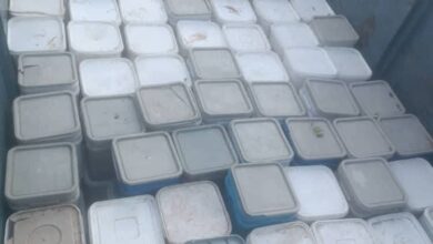 أعلنت السلطات السودانية، ضبط وإبادة مئات الأوعية من الجبن البلدي الفاسد في مدينة أم درمان، كانت مجهزة للتوزيع في إطار حملة رقابية مشددة تسبق شهر رمضان.