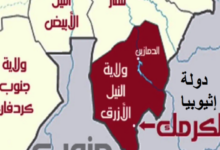 شنت مليشيا الدعم السريع، الاثنين، هجومًا عنيفًا على منطقة جرط القريبة من مدينة الكرمك بإقليم النيل الأزرق جنوبي السودان، في تصعيد ميداني جديد يعكس احتدام المعارك في الإقليم الحدودي الاستراتيجي