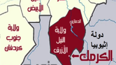 شنت مليشيا الدعم السريع، الاثنين، هجومًا عنيفًا على منطقة جرط القريبة من مدينة الكرمك بإقليم النيل الأزرق جنوبي السودان، في تصعيد ميداني جديد يعكس احتدام المعارك في الإقليم الحدودي الاستراتيجي