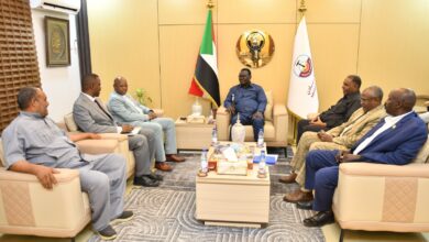 أعلن المدير العام للهيئة العامة للأبحاث الجيولوجية السودانية، جيولوجي مستشار أحمد هارون التوم، اليوم الثلاثاء، أن ولاية النيل الأبيض تمتلك إمكانات معدنية واعدة تشمل المعادن الفلزية والصناعية ومعادن الطاقة، رغم طابعها الزراعي.