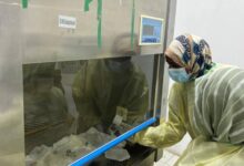 استأنف مستشفى الخرطوم لعلاج الأورام، المعروف محلياً بمستشفى "الذرة"، السبت، تقديم خدمة العلاج الكيماوي لمرضى السرطان، بعد توقف قسري للخدمة الحيوية دام لأكثر من ثلاث سنوات.