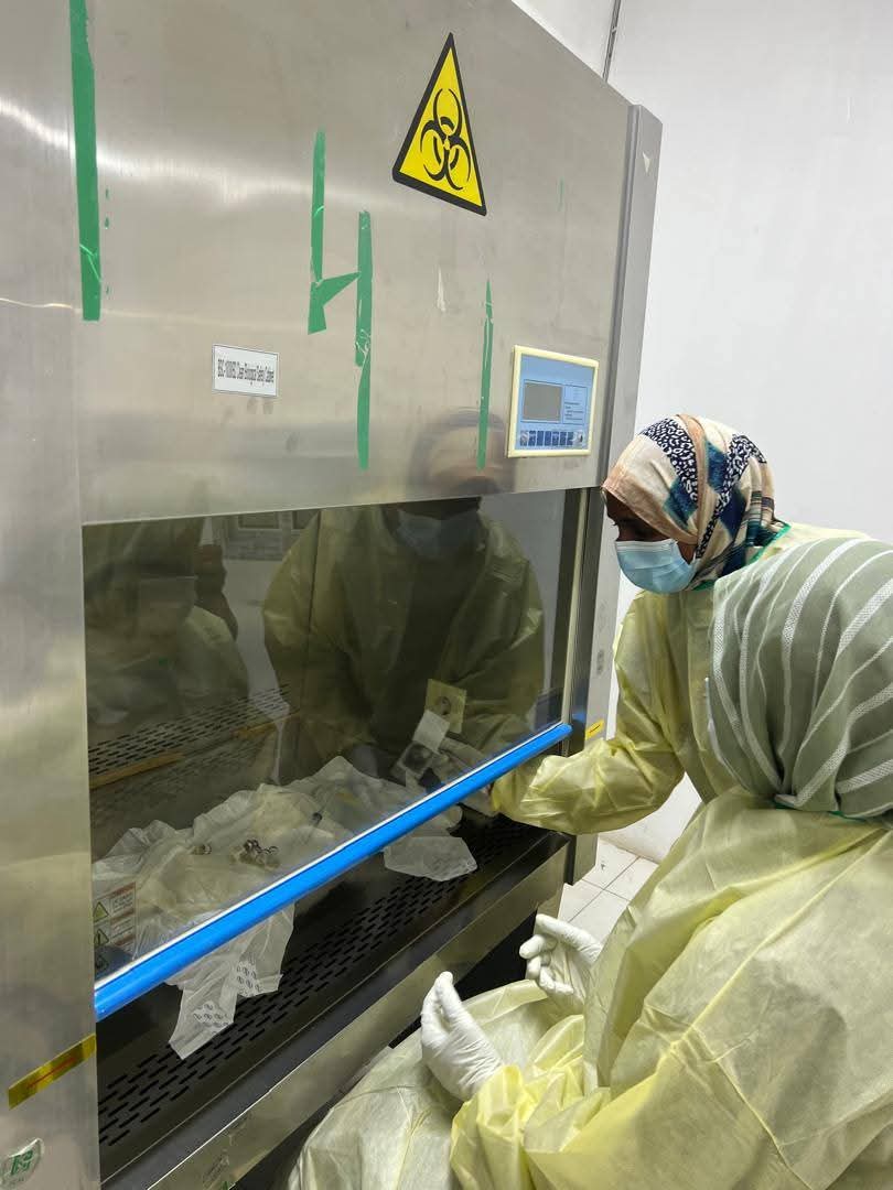 استأنف مستشفى الخرطوم لعلاج الأورام، المعروف محلياً بمستشفى "الذرة"، السبت، تقديم خدمة العلاج الكيماوي لمرضى السرطان، بعد توقف قسري للخدمة الحيوية دام لأكثر من ثلاث سنوات.