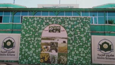 أصدرت الإدارة القانونية بمشروع الجزيرة، الاثنين، إنذاراً قانونياً بإزالة التعديات الواقعة على منشآت الري داخل المشروع، وعلى رأسها كمائن الطوب العشوائية التي انتشرت في عدد من المواقع.