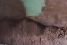 أثارت حادثة نبش قبر وضريح الشيخ الفكي محمد كرجة بقرية الصقيعة شرق ولاية الجزيرة موجة واسعة من الإدانات والاستنكار، بعد أن أدانت الأمانة العامة لهيئة مشايخ الطرق الصوفية بمدينة ود مدني الواقعة بشدة، ووصفتها بأنها انتهاك صارخ لحرمة الأموات وتعدٍ سافر على القيم الدينية والمقدسات الإسلامية.