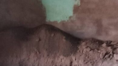 أثارت حادثة نبش قبر وضريح الشيخ الفكي محمد كرجة بقرية الصقيعة شرق ولاية الجزيرة موجة واسعة من الإدانات والاستنكار، بعد أن أدانت الأمانة العامة لهيئة مشايخ الطرق الصوفية بمدينة ود مدني الواقعة بشدة، ووصفتها بأنها انتهاك صارخ لحرمة الأموات وتعدٍ سافر على القيم الدينية والمقدسات الإسلامية.