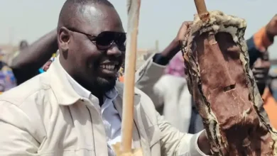 عاد القيادي في الكتلة الديمقراطية، مبارك أردول، إلى مدينة بورتسودان، الاثنين  عقب مشاركته في مؤتمر برلين، وسط استقبال من أنصاره في مطار المدينة، في خطوة اعتُبرت ذات دلالات سياسية ورداً ضمنياً على دعوات لاعتقاله