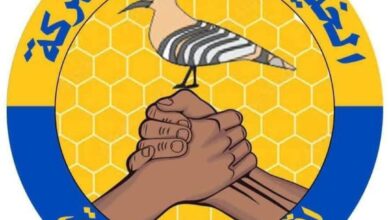 قضت محكمة الدمازين، بإقليم النيل الأزرق، بالسجن لمدة 20 عامًا على متهمة أُدينت بالتعاون مع قوات الدعم السريع، بعد إدانتها بمخالفة المادتين (50) و(51) من القانون الجنائي.