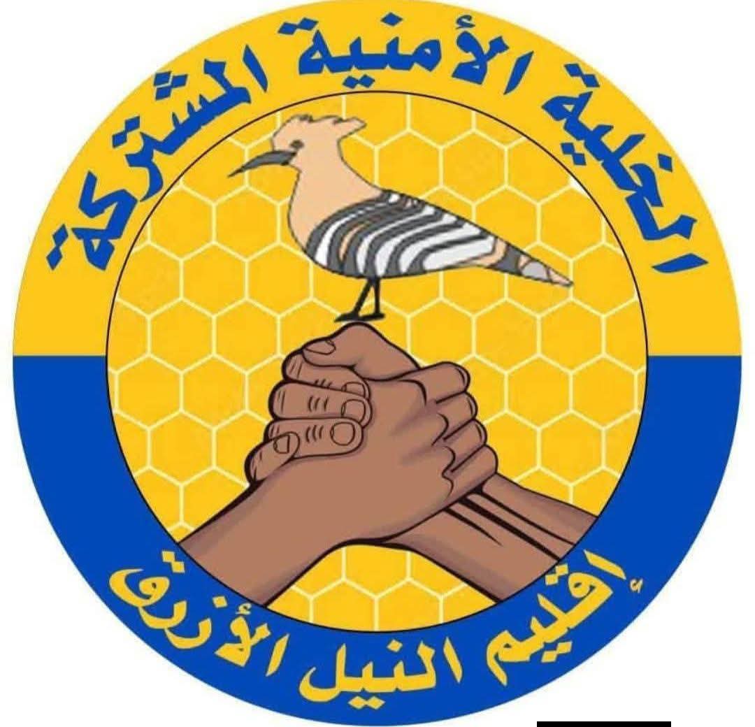 قضت محكمة الدمازين، بإقليم النيل الأزرق، بالسجن لمدة 20 عامًا على متهمة أُدينت بالتعاون مع قوات الدعم السريع، بعد إدانتها بمخالفة المادتين (50) و(51) من القانون الجنائي.