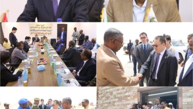   تستعد محلية حلفا لإحياء مشروع المفرخ لاستزراع الأسماك بدعم صيني، في خطوة طموحة لتعظيم الموارد المائية لبحيرة النوبة وتعزيز الاقتصاد المحلي