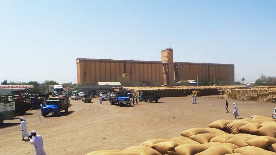 شهدت أسواق المحاصيل في ولاية القضارف، عقب عطلة عيد الفطر المبارك، ارتفاعًا ملحوظًا في أسعار عدد من المحاصيل الزراعية الرئيسية، بالتزامن مع زيادة كبيرة في حجم الوارد اليومي إلى السوق، وفقًا لما أعلنته بورصة أسعار محاصيل القضارف.