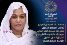 دعت محافظ بنك السودان المركزي، آمنة ميرغني، الأربعاء، صندوق النقد الدولي إلى استئناف مشاورات المادة الرابعة، وإحياء مسار إعفاء ديون السودان، مع تقديم دعم فني ومالي عاجل لمساعدة البلاد على تجاوز تداعيات الحرب المستمرة منذ أبريل 2023.