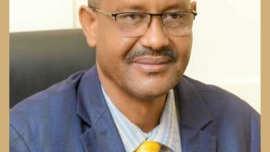 في خطوة تعكس ملامح التعافي التدريجي للجهاز المصرفي السوداني، صدر قرار بتعيين الدكتور عماد الدين ميرغني الناير مديرًا عامًا لبنك الخليج، وفقًا لأحكام المادة (70) من قانون تنظيم العمل المصرفي لسنة 2026.