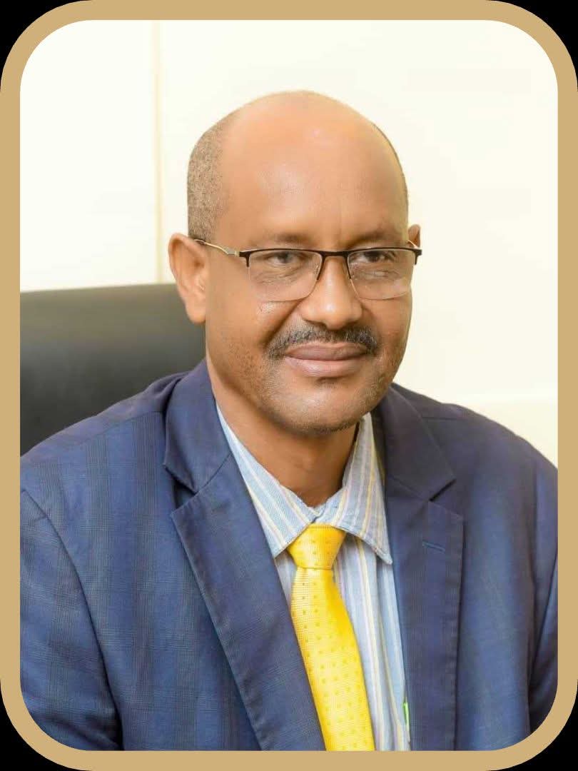 في خطوة تعكس ملامح التعافي التدريجي للجهاز المصرفي السوداني، صدر قرار بتعيين الدكتور عماد الدين ميرغني الناير مديرًا عامًا لبنك الخليج، وفقًا لأحكام المادة (70) من قانون تنظيم العمل المصرفي لسنة 2026.