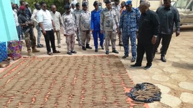 وقف والي ولاية الجزيرة،  الطاهر إبراهيم الخير، صباح الأحد، على تفاصيل ضبطية كبيرة نفذتها إدارة شرطة مكافحة التهريب بالولاية، أسفرت عن ضبط 2770 قندول بنقو، في واحدة من أكبر الضبطيات خلال الفترة الأخيرة.