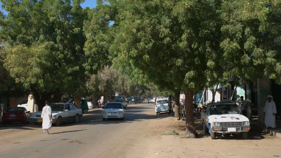 أدانت لجان مقاومة مدينة دنقلا بالولاية الشمالية ما وصفته بـ”ممارسات مهينة” طالت عدداً من الشباب، بعد تقارير أفادت بقيام جهات غير معلنة باستيقاف شباب في الشوارع وحلاقة رؤوسهم قسراً في أماكن عامة، وسط إساءات لفظية، في واقعة أثارت جدلاً واسعاً في المدينة.