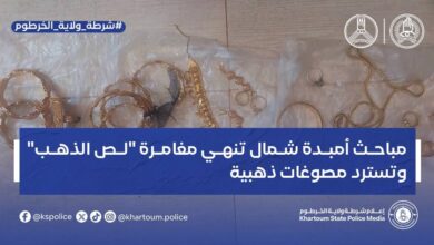في إنجاز أمني جديد لشرطة ولاية الخرطوم، تمكن تيم مباحث قسم شرطة أمبدة شمال من تسديد بلاغ سرقة تقدمت به المواطنة نادية عبدالله، وذلك بعد عمليات رصد ومتابعة ميدانية دقيقة قادت إلى ضبط المتهم (ع. م. ح)
